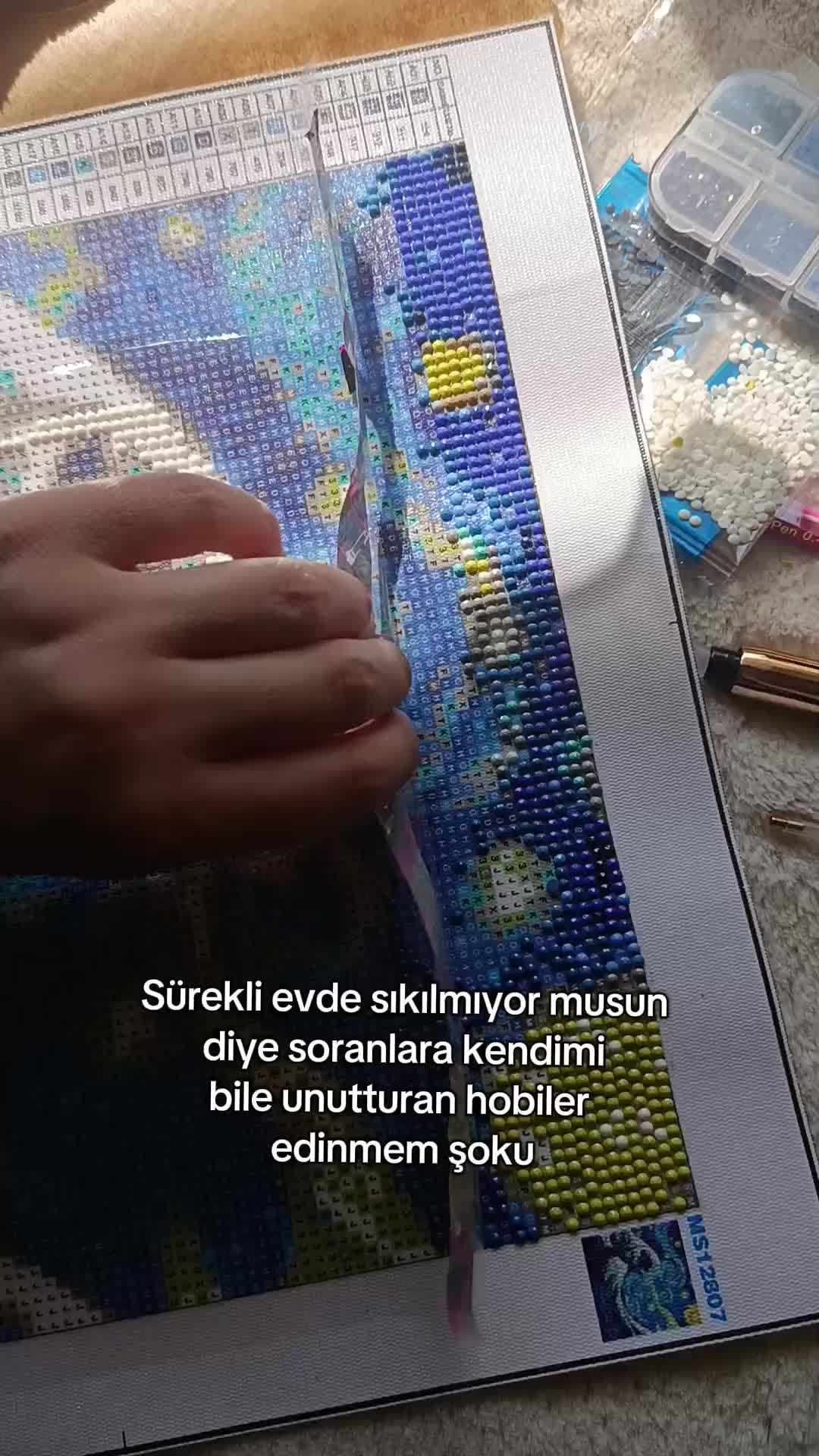 @acarlarinbilge