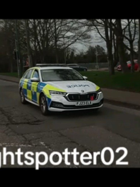 @blue light spotter02