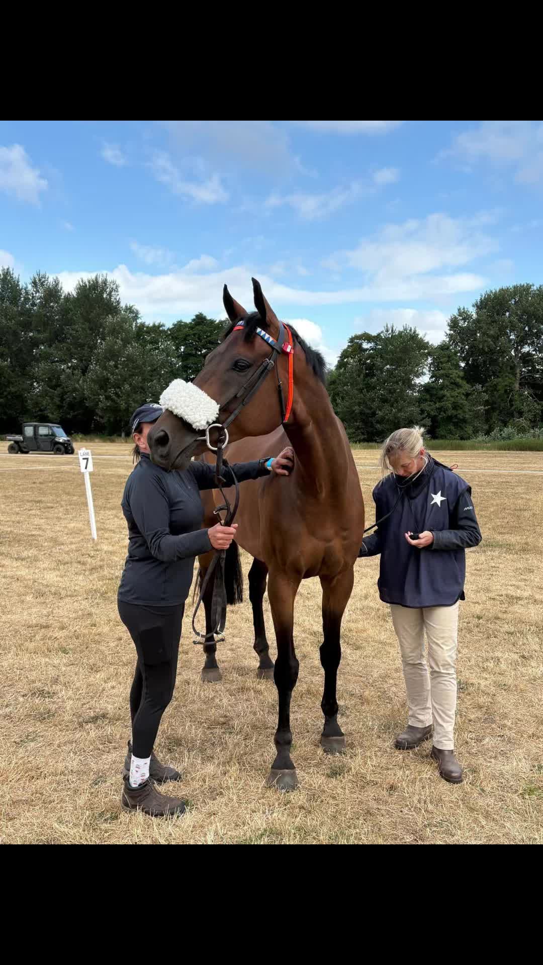 @equinectar