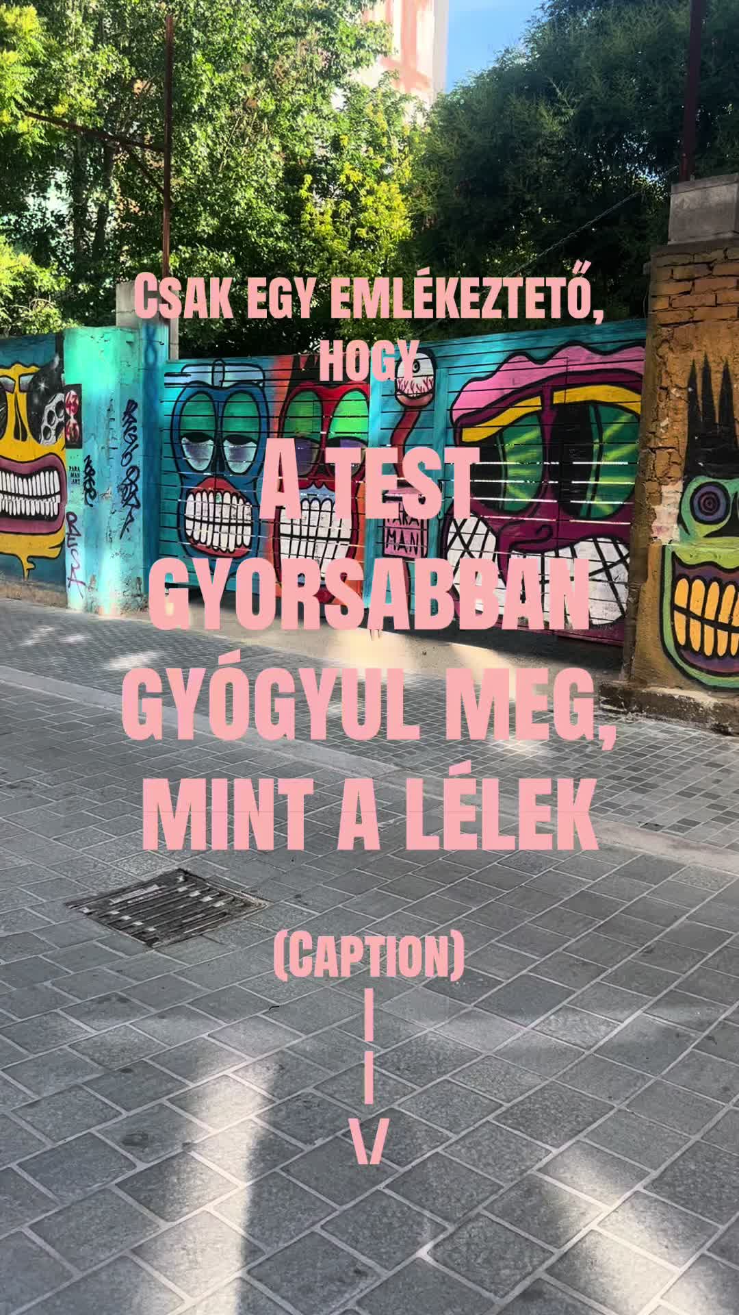@an0rexi@_gy&oacute;gyul&aacute;s_borival