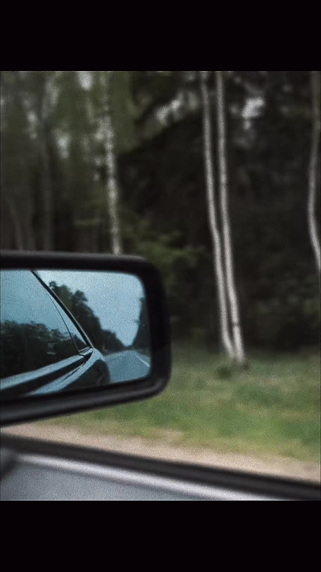 @venturavicky