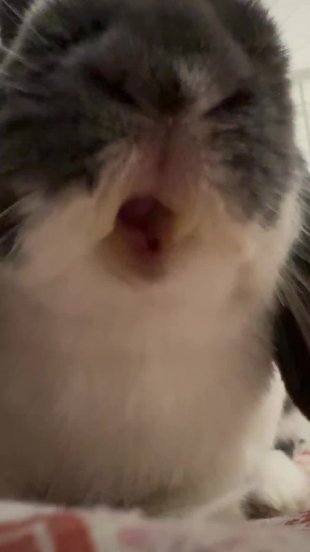 @Clooooooz