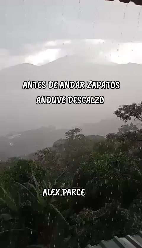 @ALEX.PARCE.