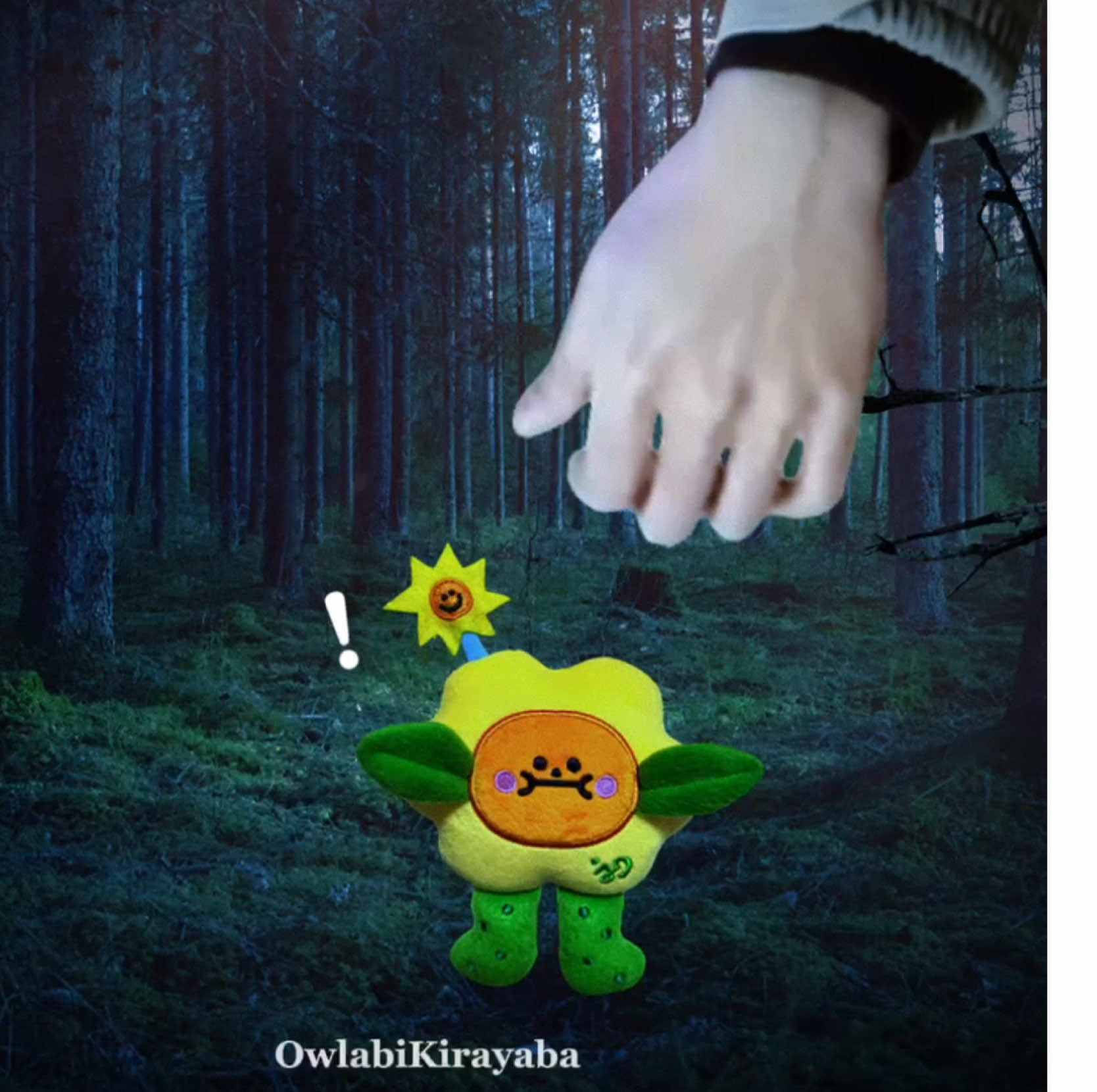 @🥑🌻✮⋆˙owlabikirayaba ⸰ֺ⭑🐻🐼
