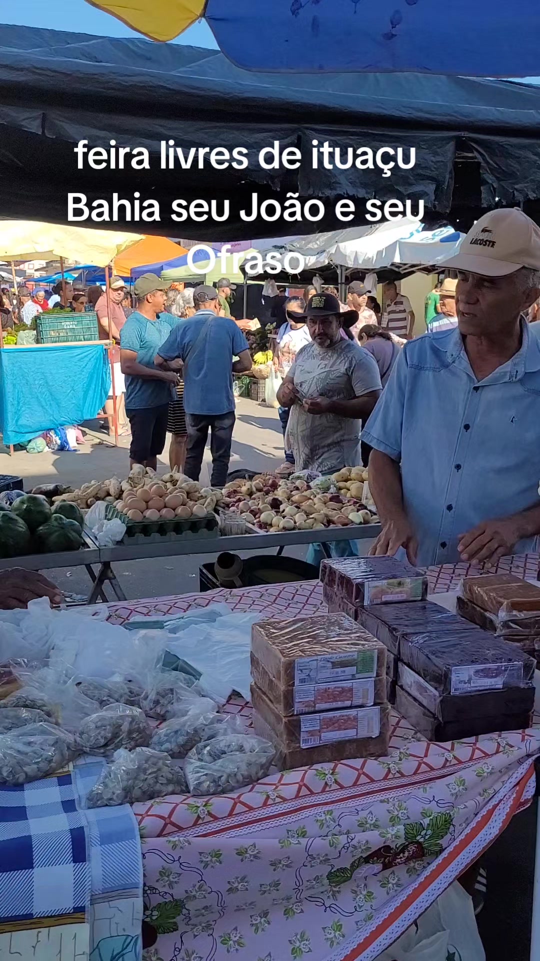 @Lia Caires