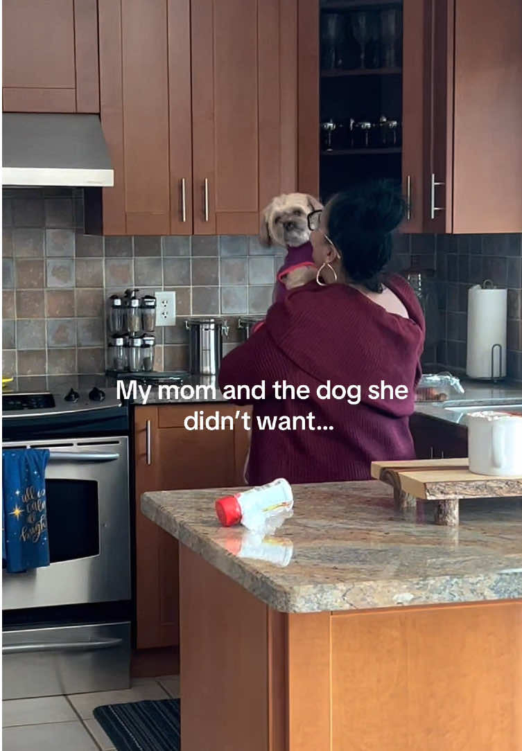 @Funny dogdia80