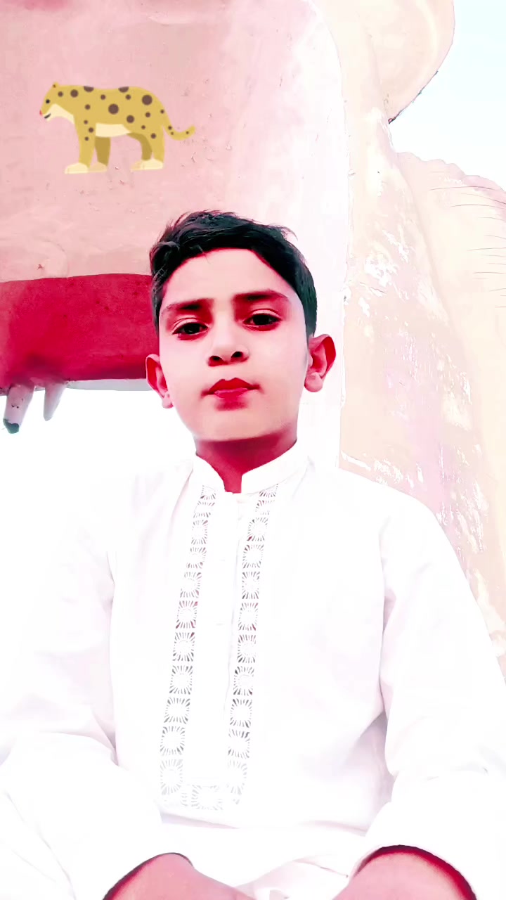 @Bashir Ahmed 3035
