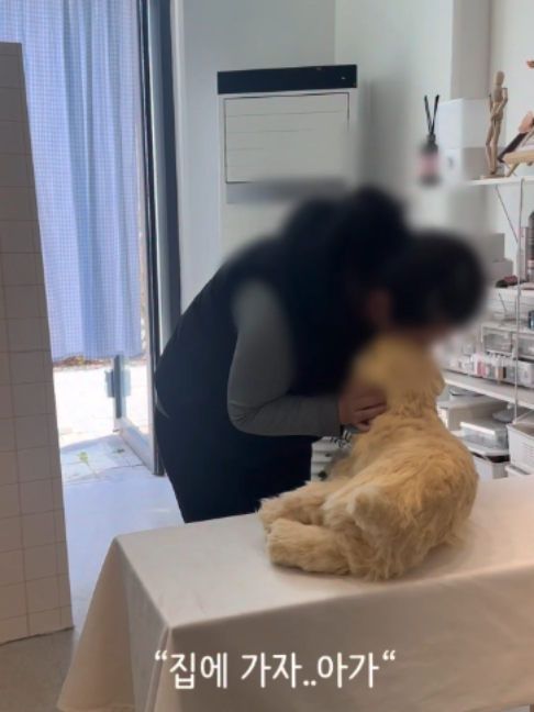 @멍멍일기