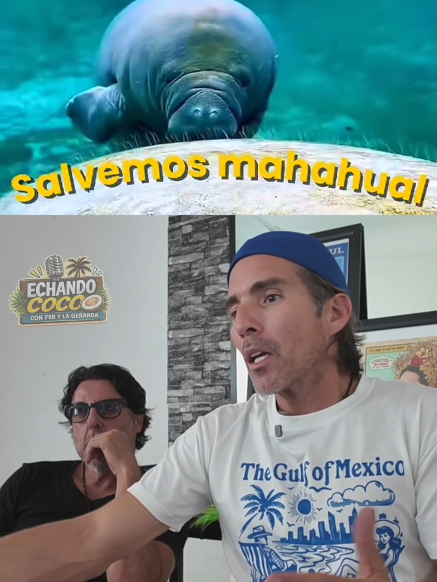 @Fernando Reina