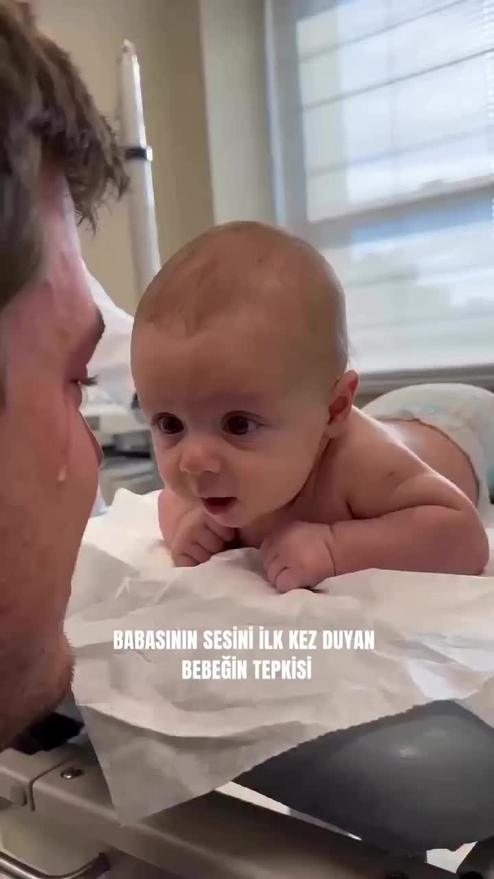 @🕊️