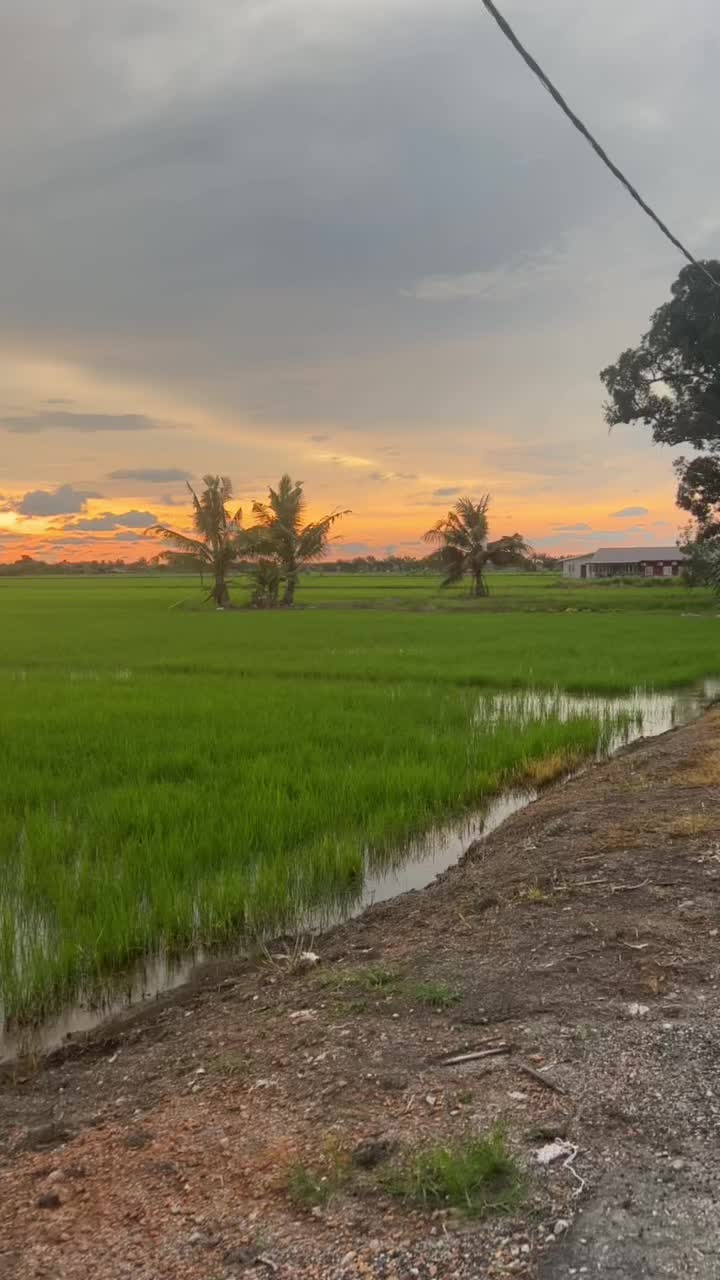 @_shinji71
