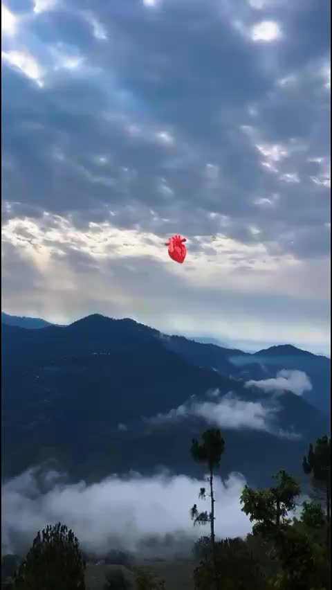 @🫀
