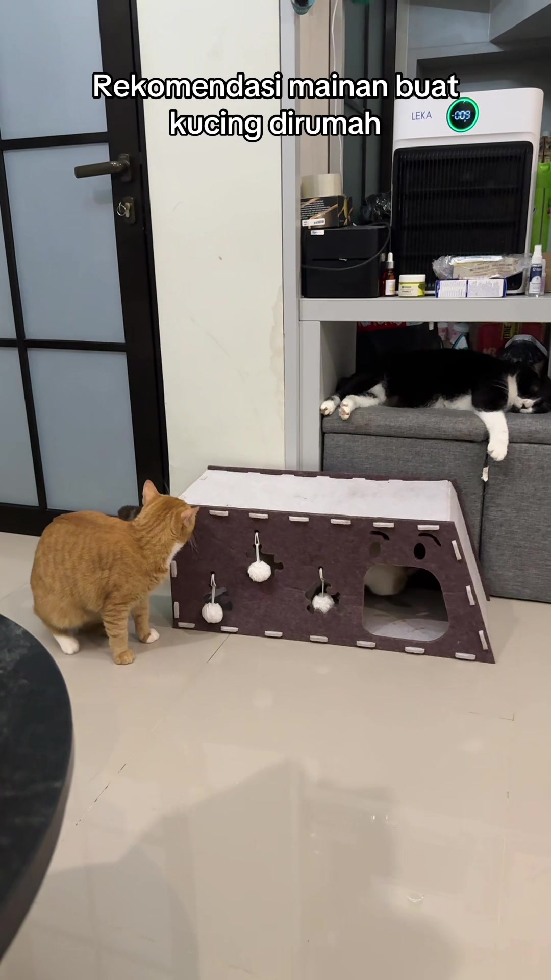 @Rapalguna | bapakkucing 🐱