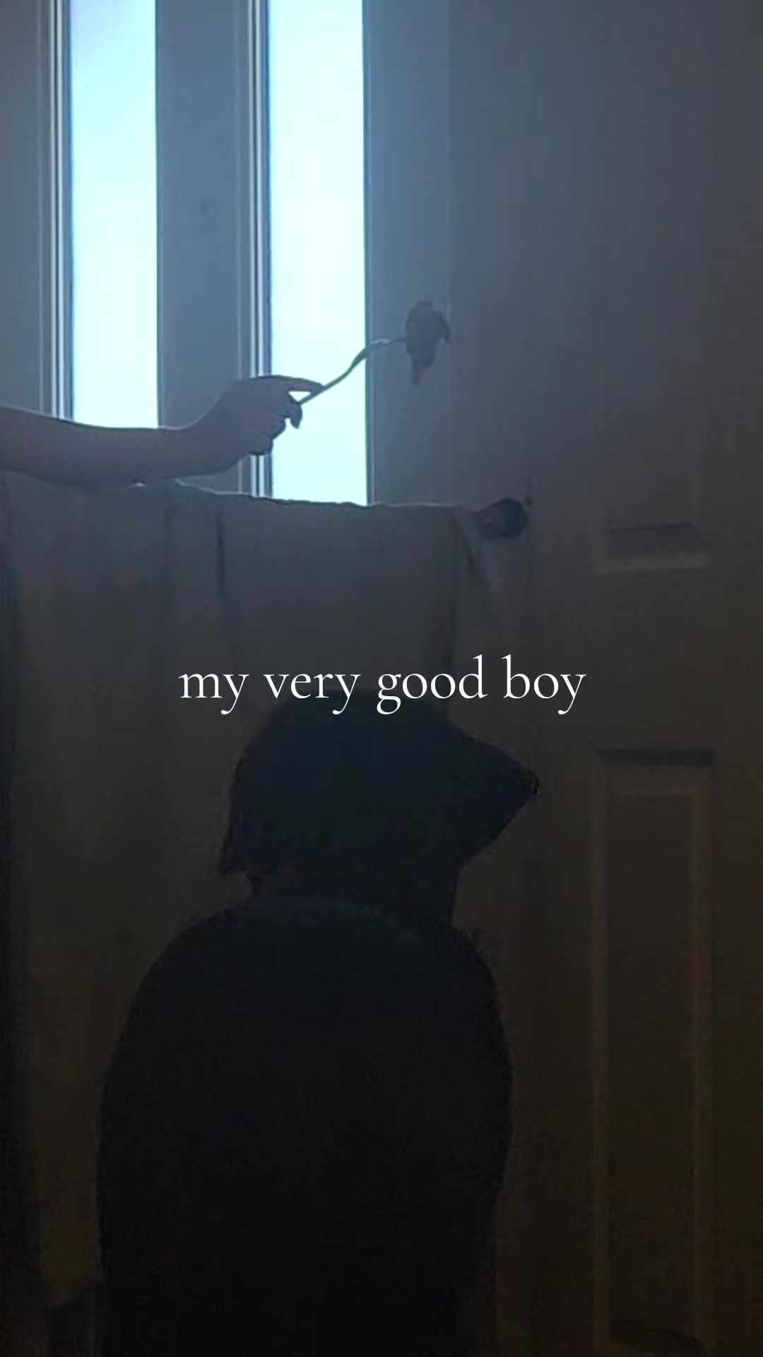 @limp