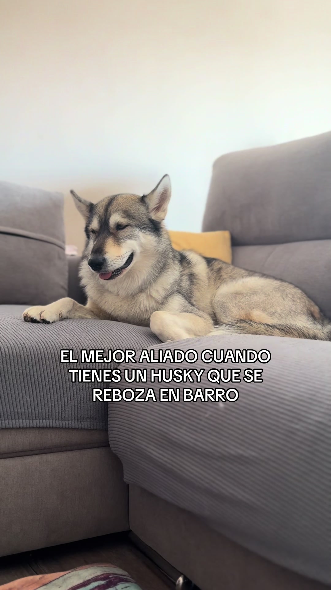 @María G Pescador