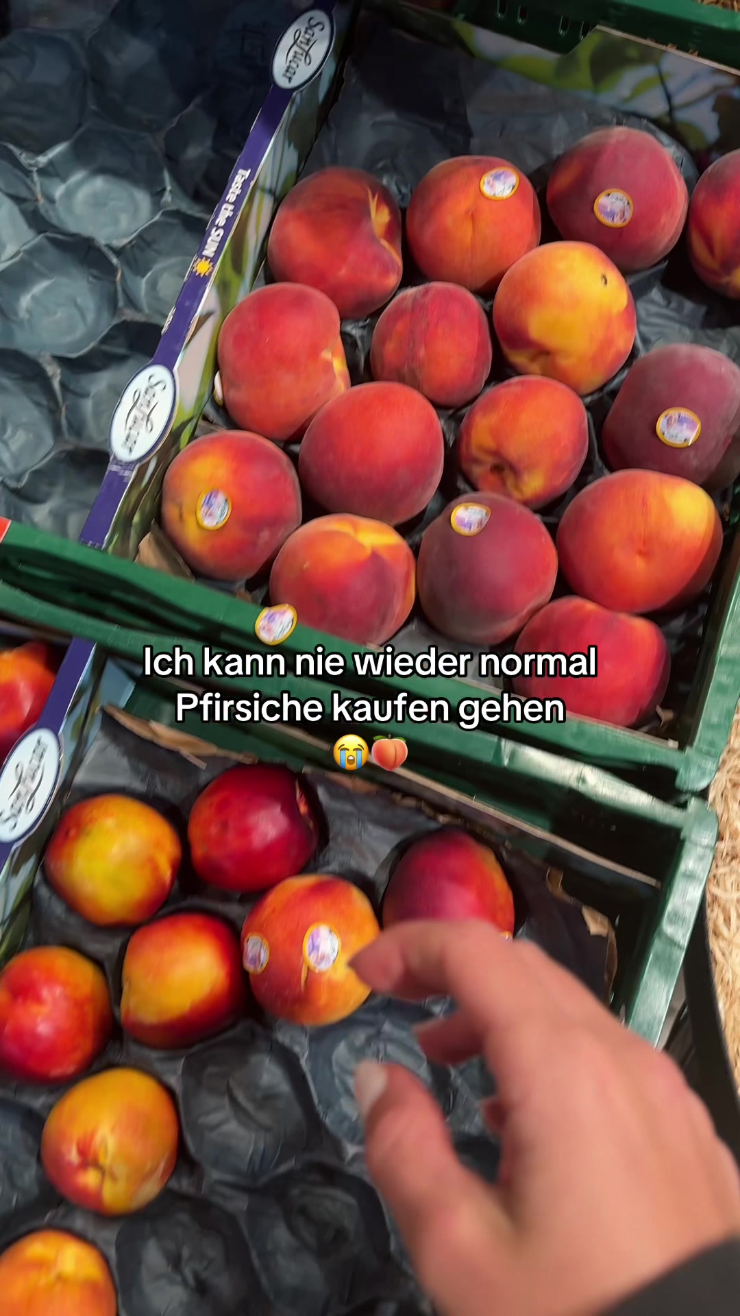 @Emily