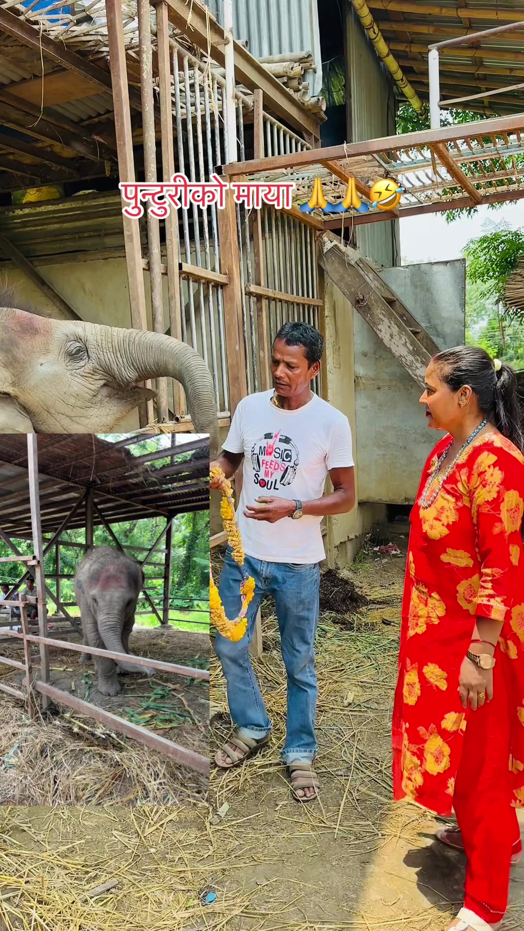 @Bishnughimire