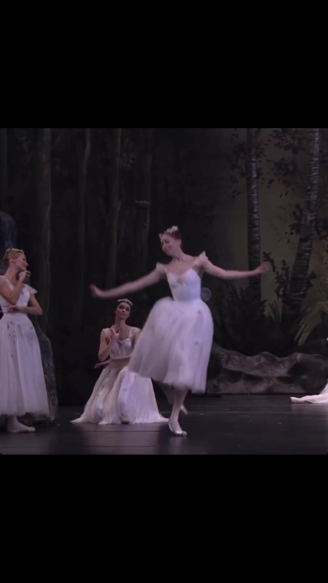 @ballet🩰