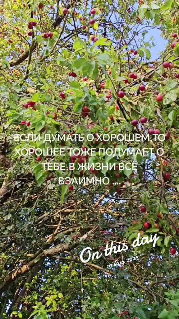 @Anonymous