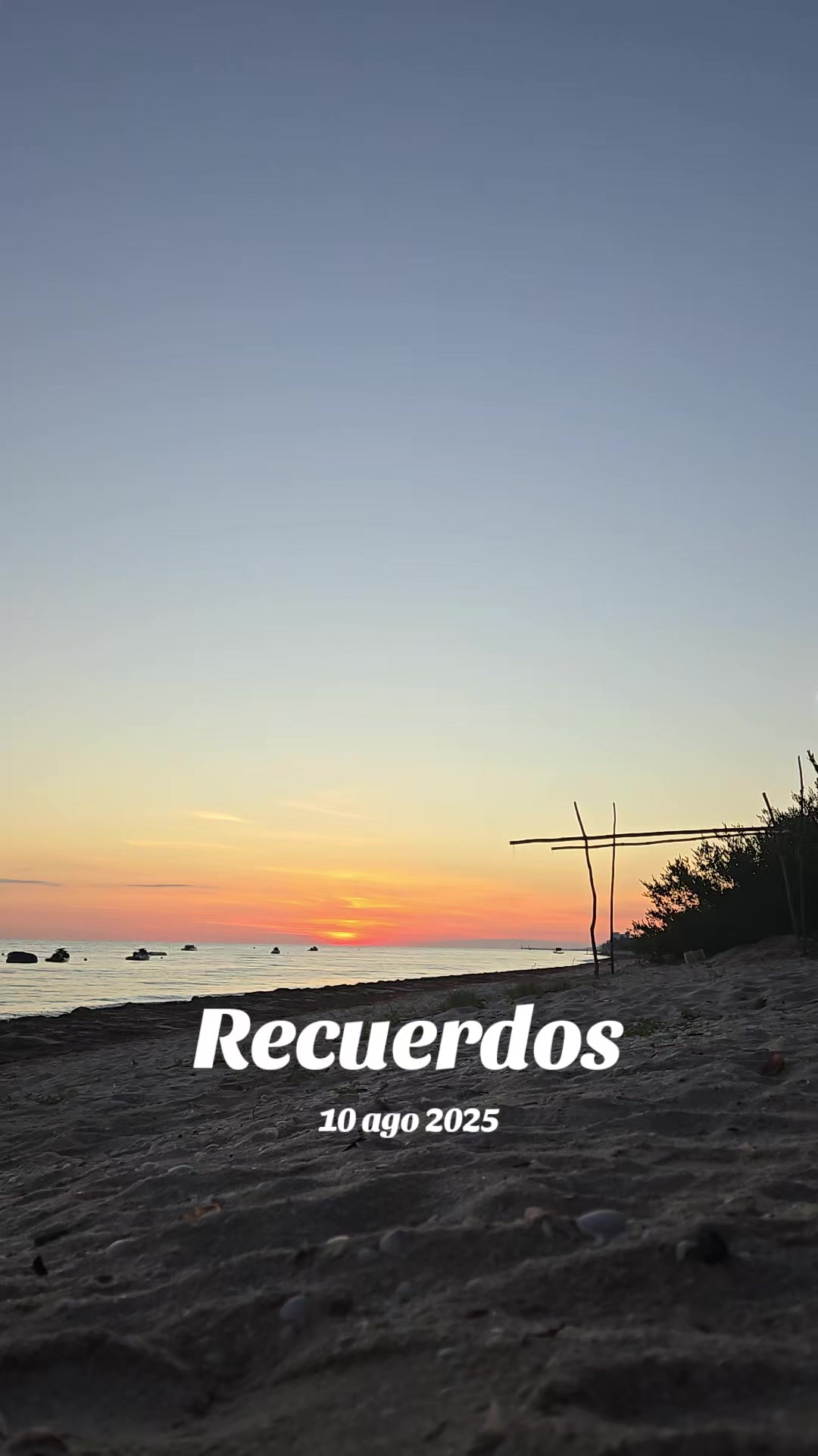 @Rosendo Andrés Chan