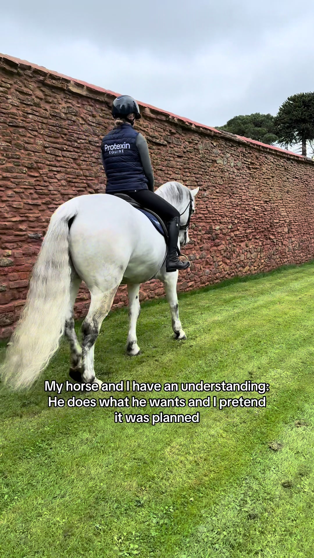 @Protexin Equine