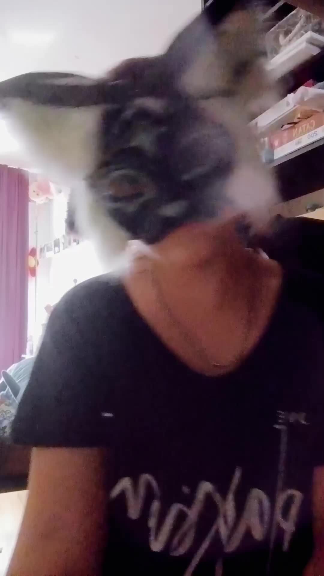 @★M¡M¡★