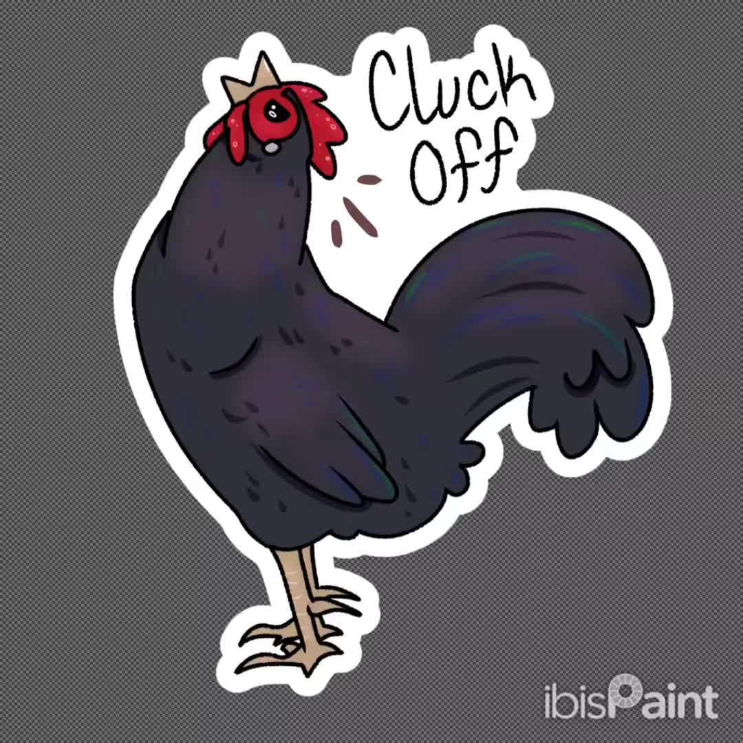 @Timberline Chickens
