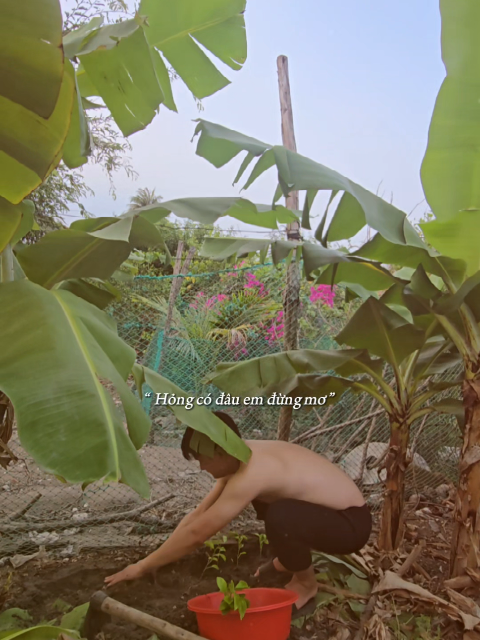 @Nhật Duy