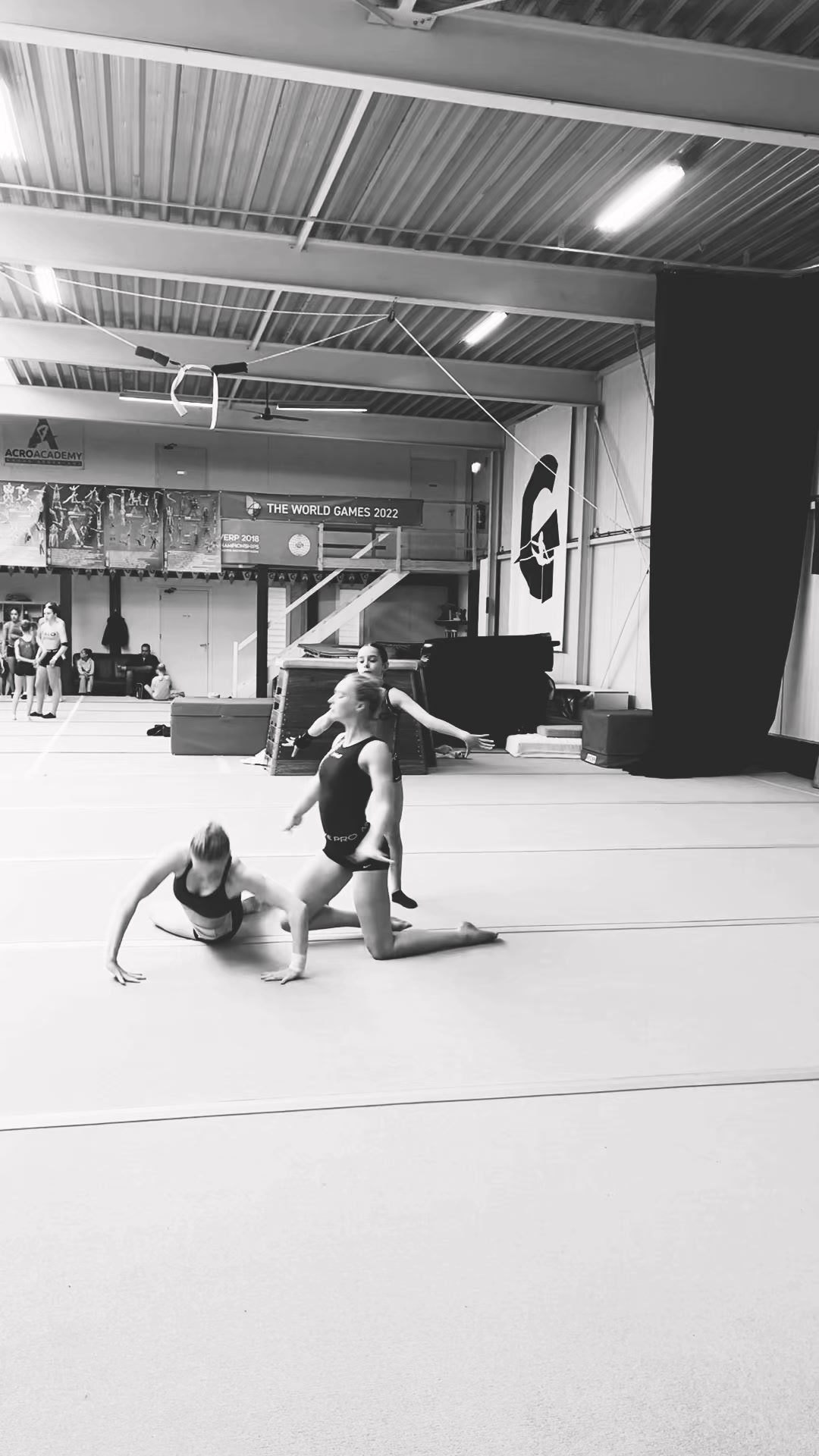 @AIM.trio