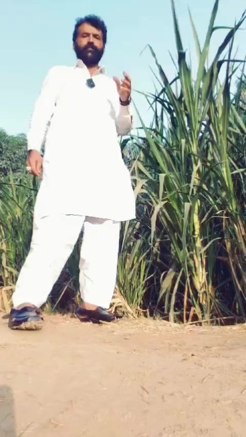 @Zameer Blouch