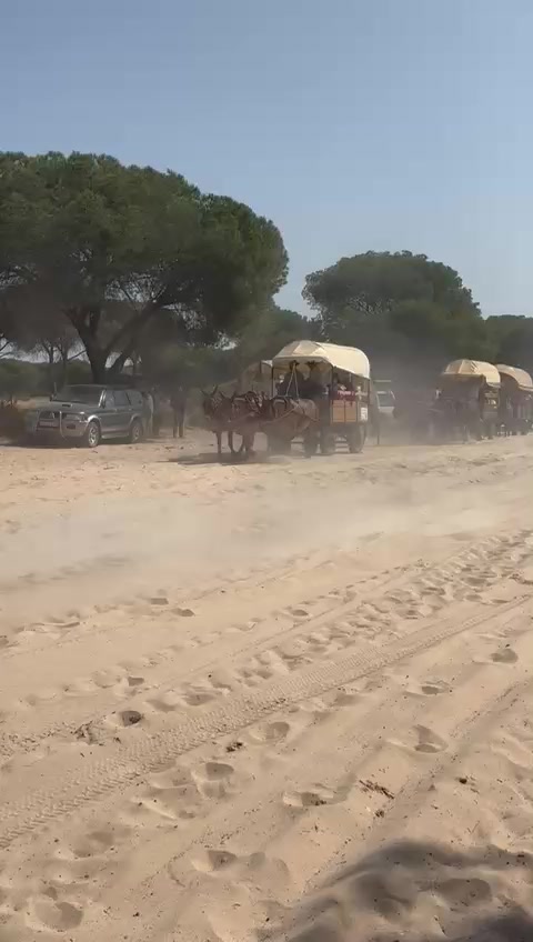 @juanfry