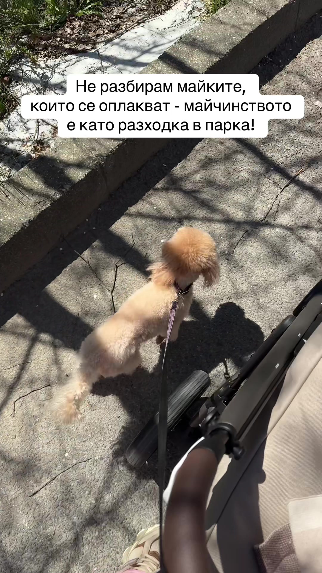 @simeonovadora