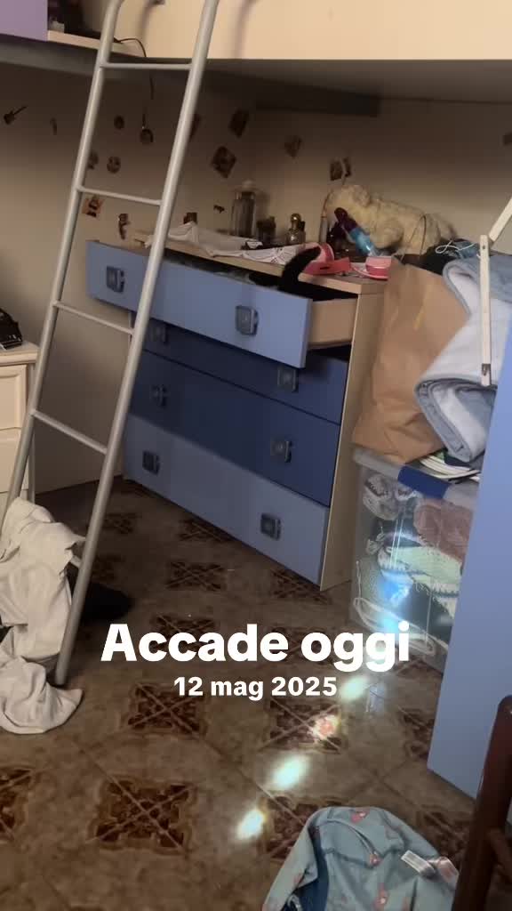@Diana Cammarano