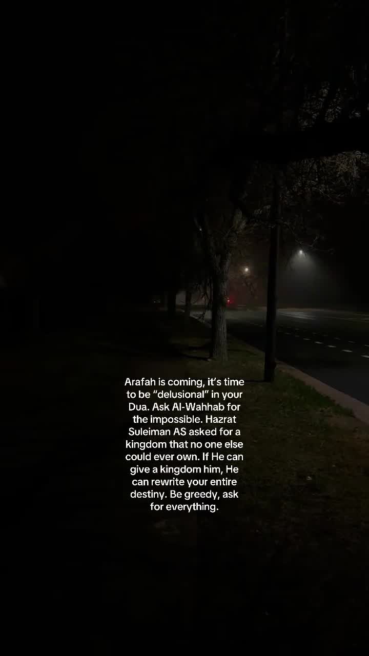 @No Doubt🕊️