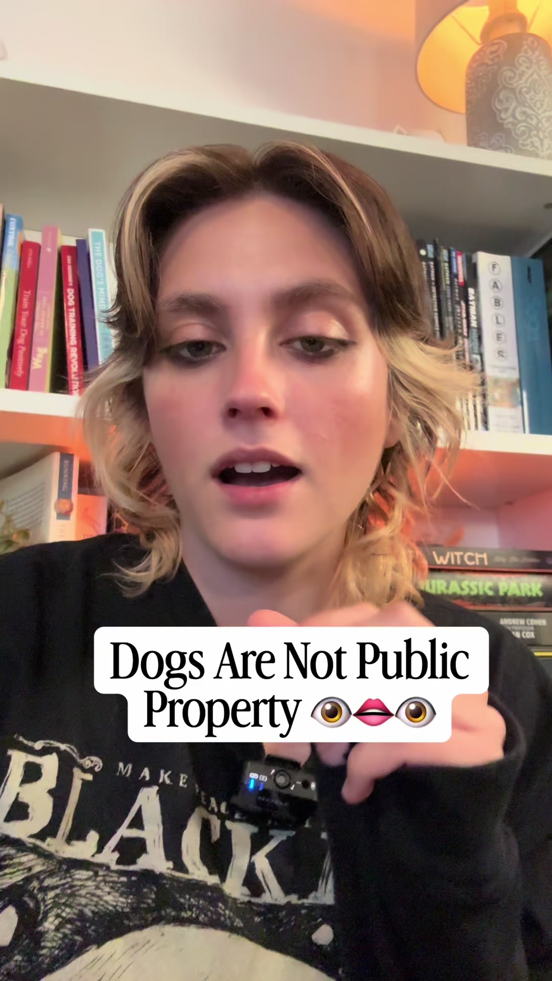 @Amelia the Dog Trainer