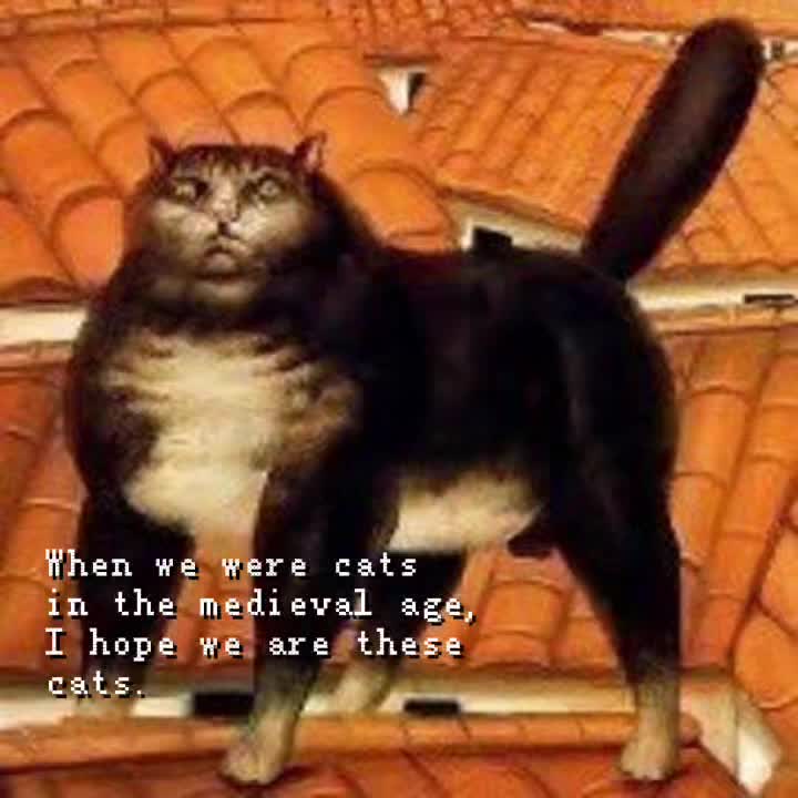 @!! ⋆ɾ&alpha;ղցҽɾ&deg; 𖤐⭒๋࣭ ⭑ нє/н&iota;м˃𖥦˂