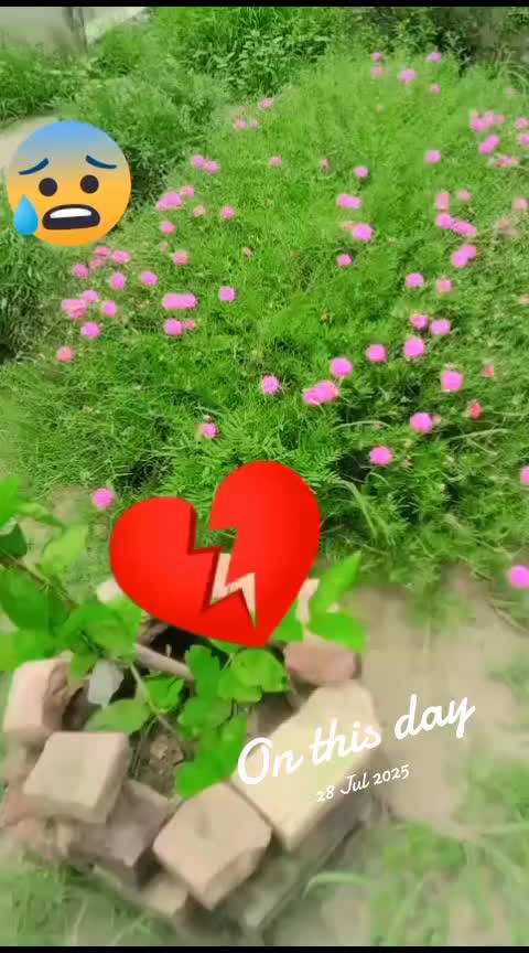 @sh Greenfield