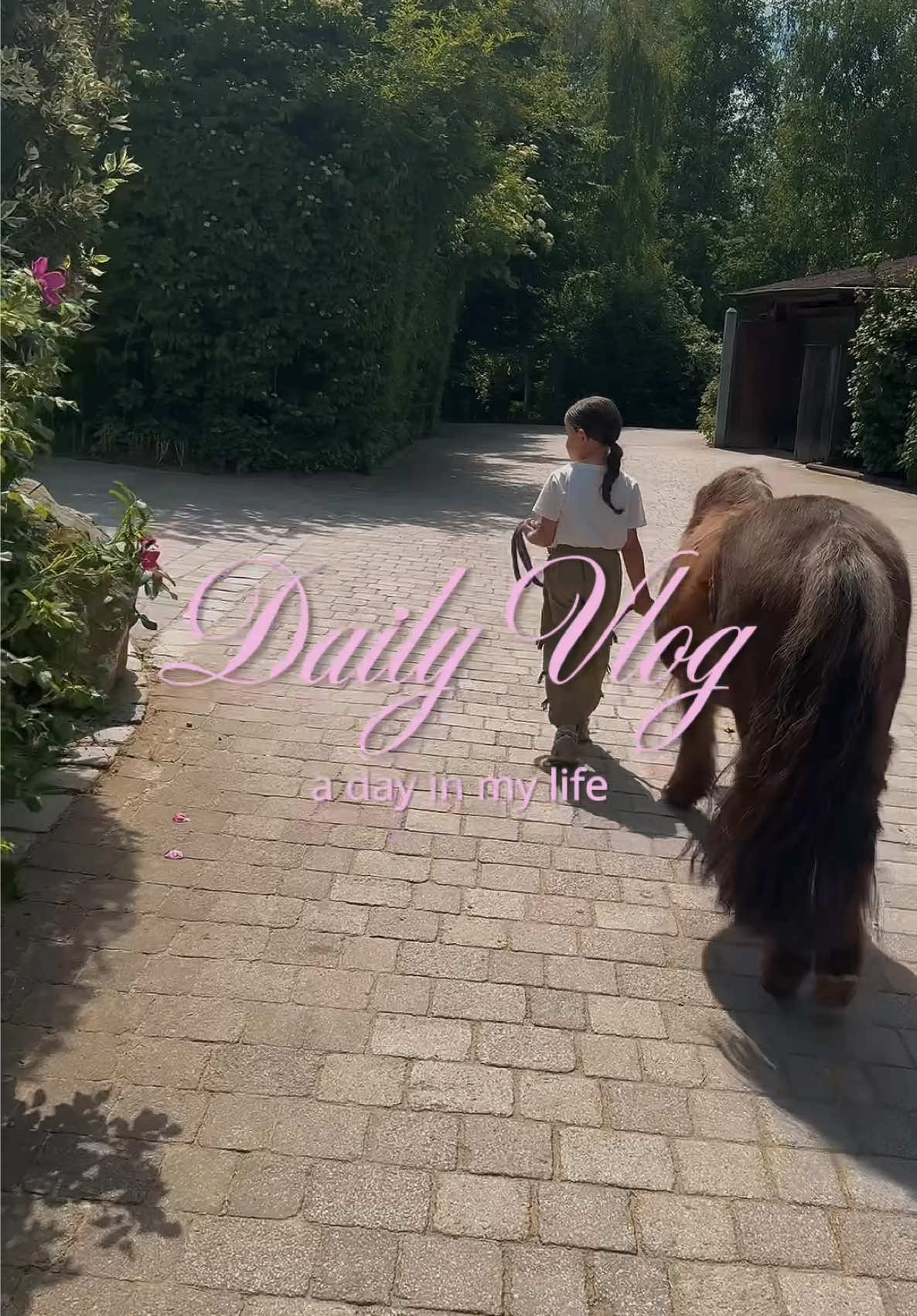 @EquestrianRana