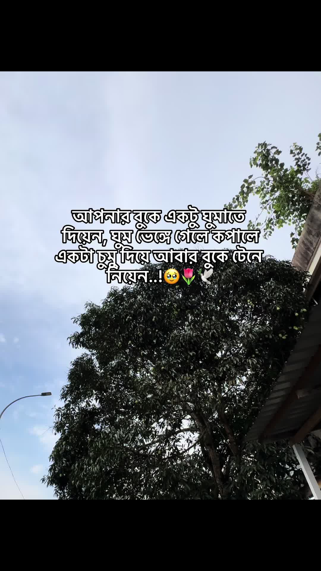 @đ° đĻ đ đ đ đ đ°'âĄ