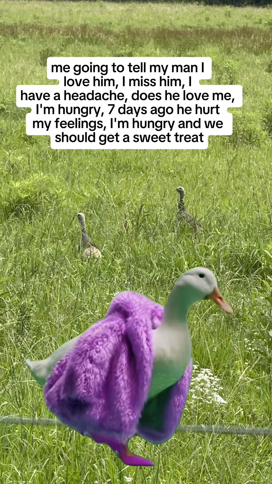 @Nikki
