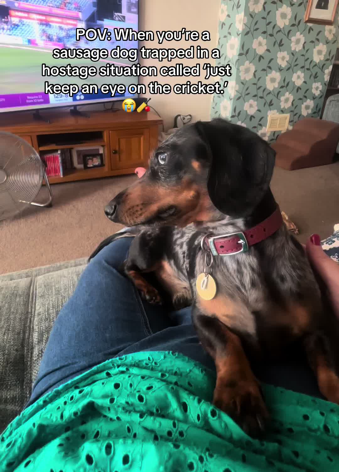 @dibblydobbly_dax