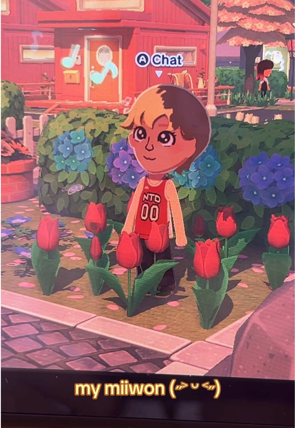 @aurora ⌗ 🦑˚. ᵎᵎ