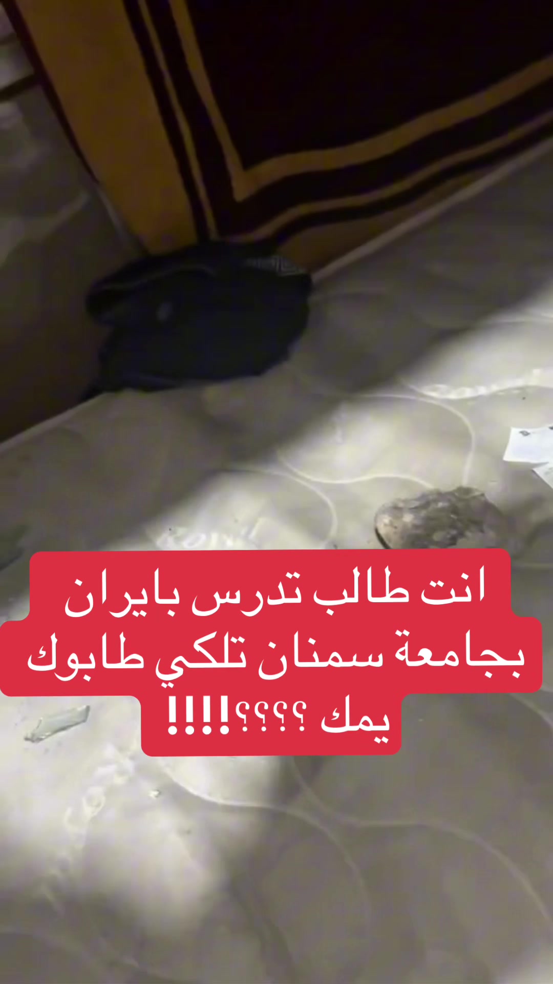 @عاجل وبس