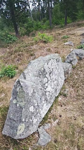 @ᛈᚢᚷ 🇸🇪