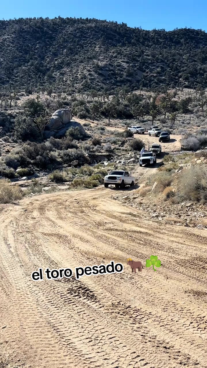 @el toro pesado 🐂☘️
