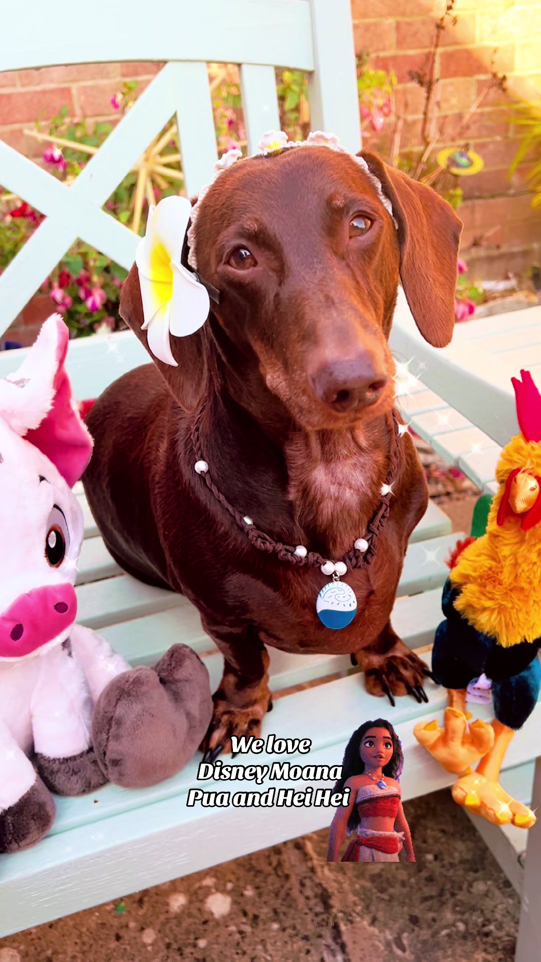 @disneythedachshund