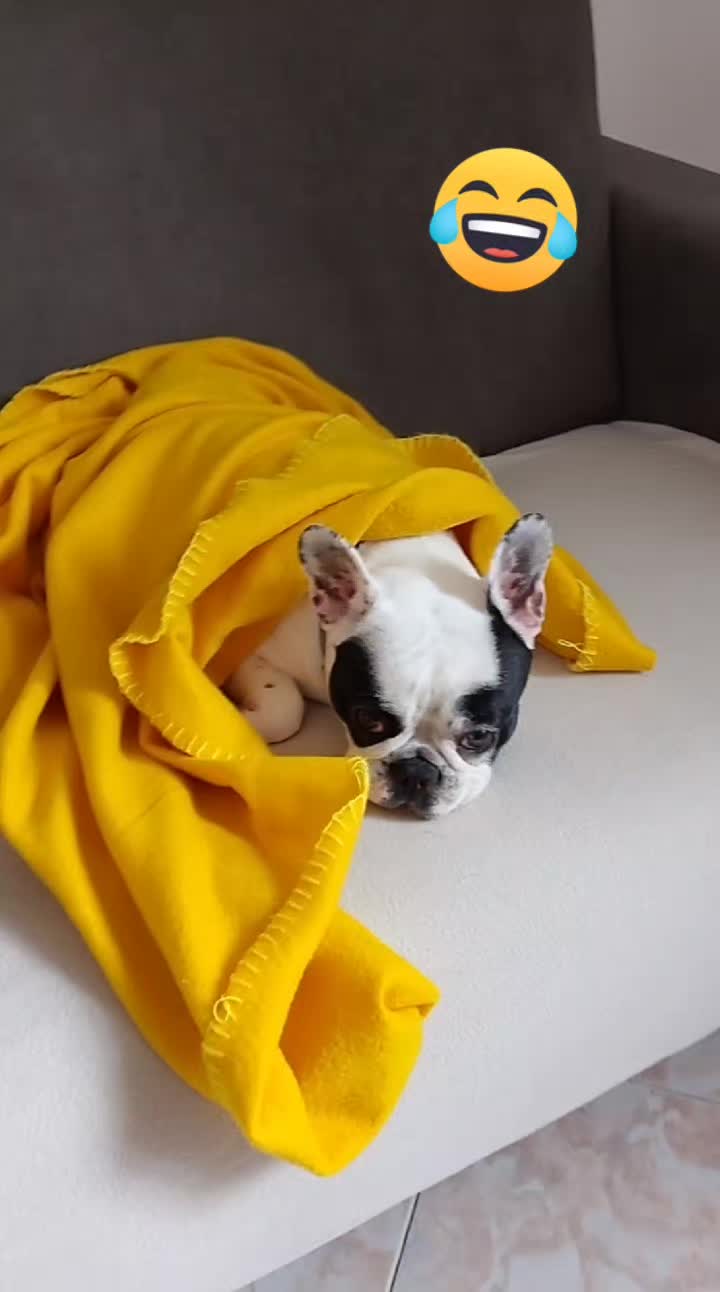 @Nelly🩷Maya🐶