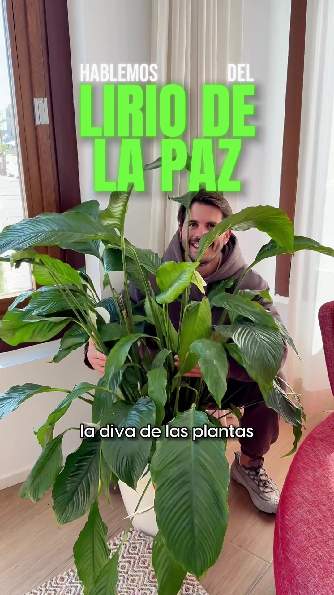 @Ypikue