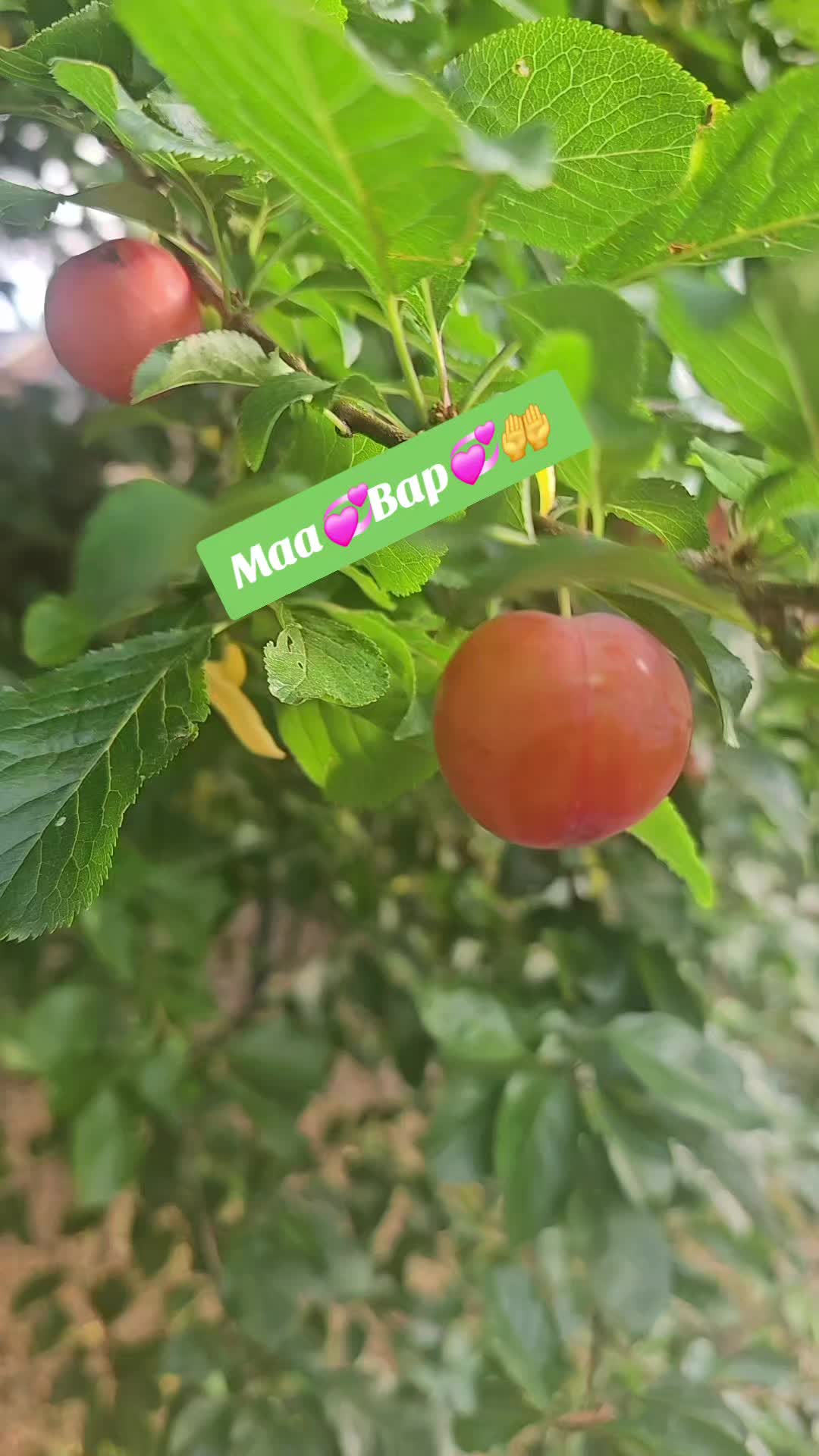 @MAHI🫶🤷&zwj;♀️💞