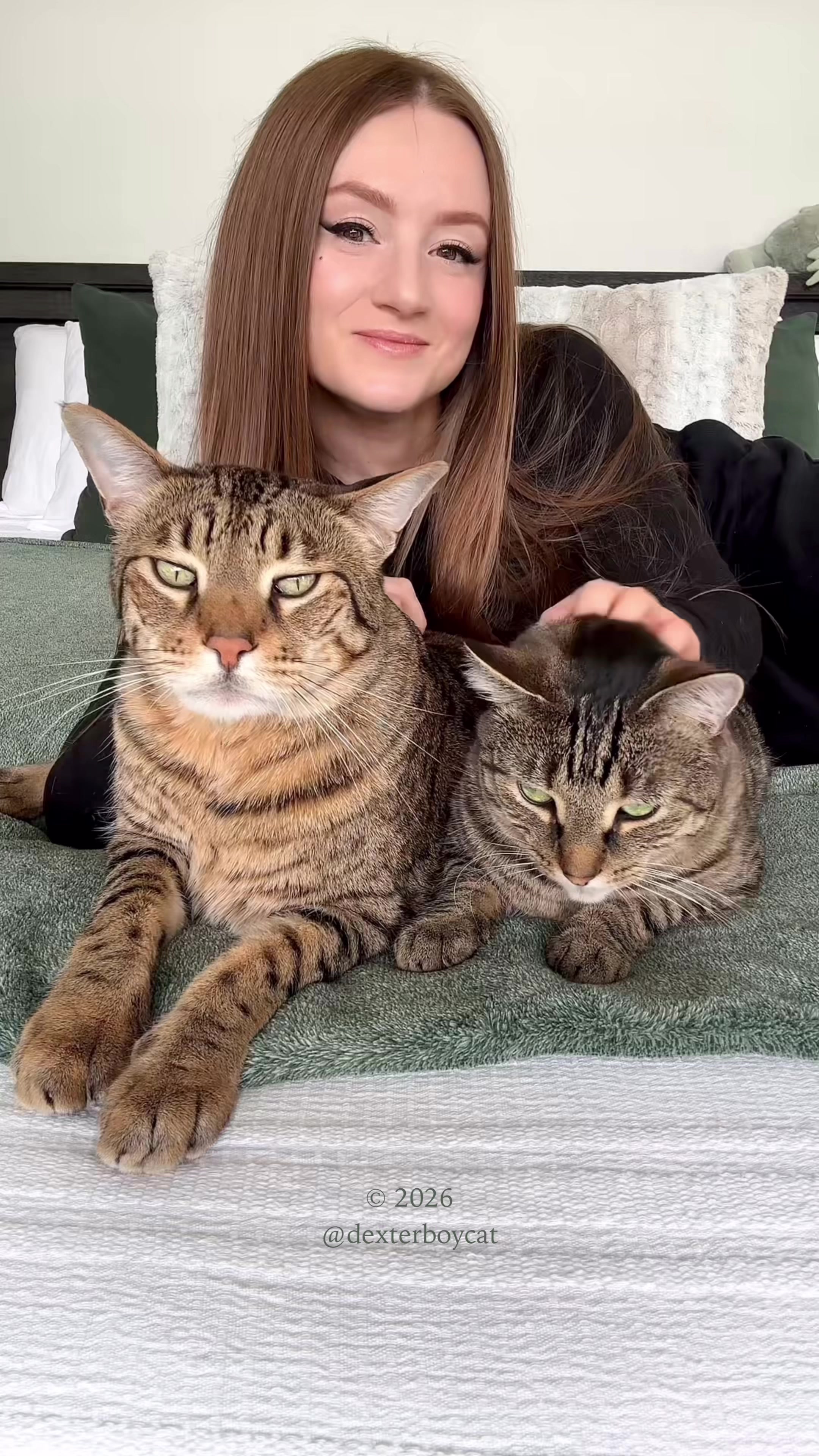 @dexterboycat 🐆♥️